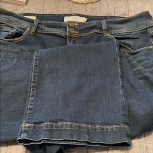 Torrid Flare Jeans 20S